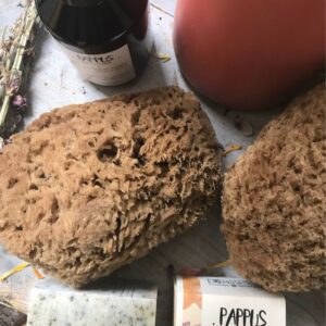 Grande éponge naturelle